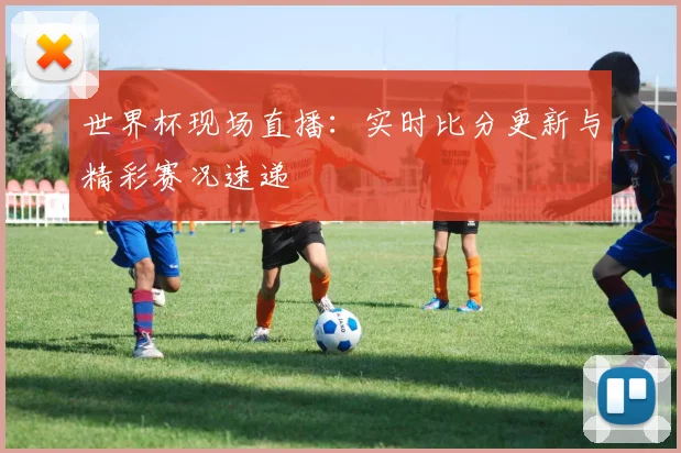世界杯现场直播:实时比分更新与精彩赛况速递