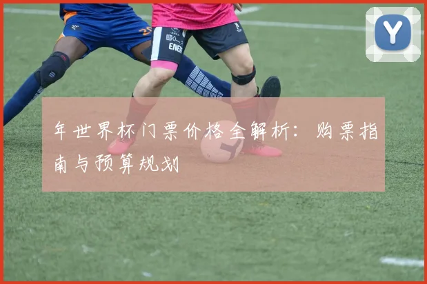 年世界杯门票价格全解析：购票指南与预算规划